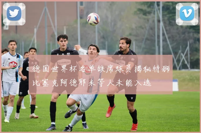 德国世界杯名单缺席球员揭秘特狮比塞克阿德耶米等人未能入选