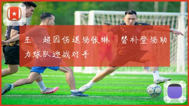 王燊超因伤退场张琳芃替补登场助力球队迎战对手
